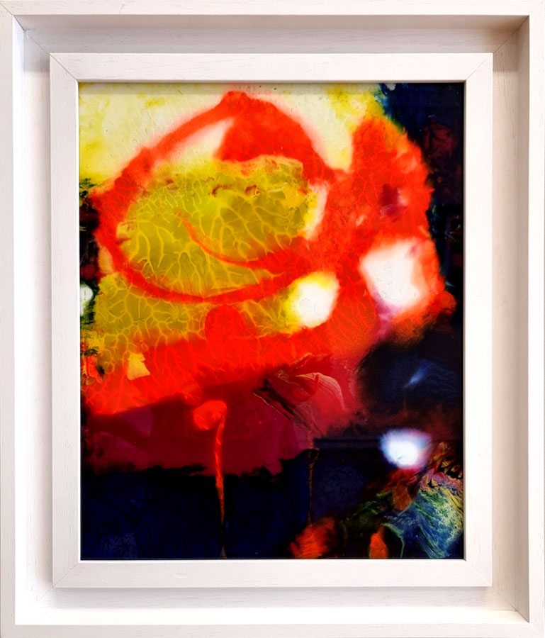 Glass Art by Martin Bush